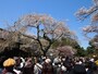 写真撮影は1枚か2枚でとのアナウンスがあった