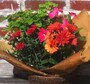 暮らす花バスケット