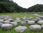 永福寺跡に復元された建物の礎石