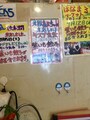 メディア