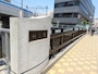 散歩道はここから再開する