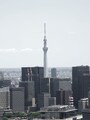 スカイツリー