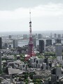 東京タワー