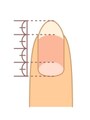 爪根元の白い部分と爪先の白い部分それぞれが、全体の4分の1程度だと美しい長さだと言えます