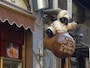 pulcinellababa