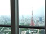 51階から東京タワーを見る