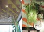 「PALETAS鎌倉店」の内装にはパイナップルの模様（左）、「PALETAS 吉祥寺店」の内装には柑橘の模様（右）が
