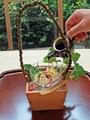 塩アイス