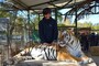 ルハン動物園は、世界でも珍しい猛獣と触れ合えるスポット　写真提供：Meet Source Trip