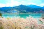 つなぎ温泉全景