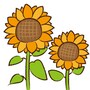 暑中見舞い　イラスト　無料　フリー　ひまわり　夏　カラー