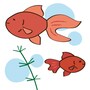 暑中見舞い　イラスト　無料　フリー　金魚　夏　カラー