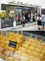 フローズンフルーツバー「PALETAS」