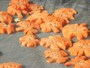 「福」の字をかたどる飾り切りのニンジン