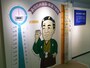 身長と体重と比較して楽しむ１億円