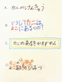 自由研究まとめ方 模造紙 タイトル