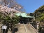桜の季節の龍口寺