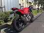 CB250Fリアビュー