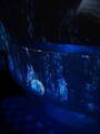 深海世界のオアシス