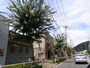 檜原街道
