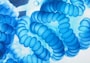 スキューバダイビングの天敵"クラゲ"