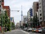 先にはスカイツリーが見える