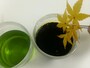 もみじのプリザ加工