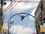 下から見上げていると、不思議な気分になる。