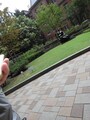 作例