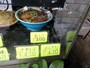 焼きそば　400円（税込）とある