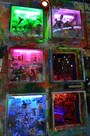 大竹伸郎氏「網膜屋／記憶濾過小屋」