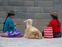 インカ壁の前で休むインカの末裔たちとリャマ