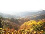 天園からの見晴し