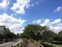 青空の下、スロージョギングに出かけてみよう！