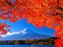 富士山と紅葉(河口湖)