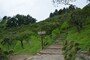 宝登山梅百花園