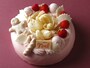 クリスマスリース　18cm　3600円（税別）
