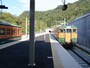 普通列車