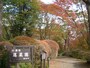 蓬莱園の紅葉・黄葉（1）