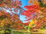 日比谷公園の紅葉