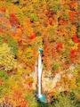 那須駒止の滝の紅葉