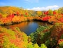 大雪 高原温泉エゾ沼の紅葉