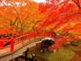 伊香保温泉河鹿橋の紅葉