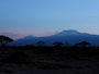 bluekilimanjaro