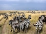 masaimara