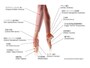 ダンサーの足に多い怪我の例