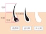 ムダ毛処理のやり方
