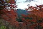 白雲山の紅葉