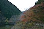 名栗湖の紅葉