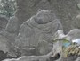 むじな塚